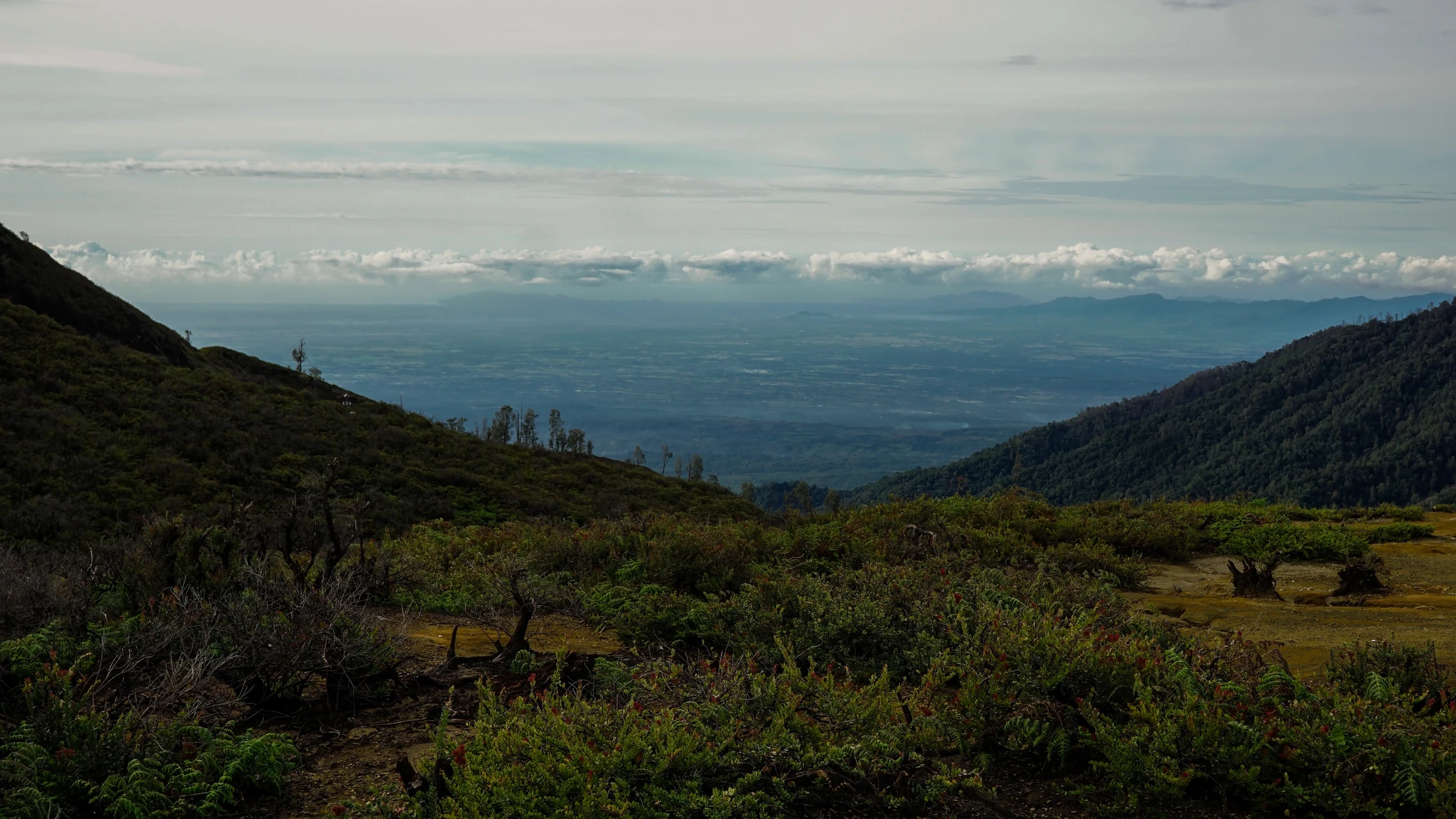 Morning landscape over Banyuwangi and the Bali Strait, seen from Mount Ijen